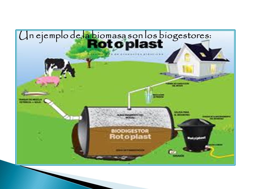 Un ejemplo de la biomasa son los biogestores: