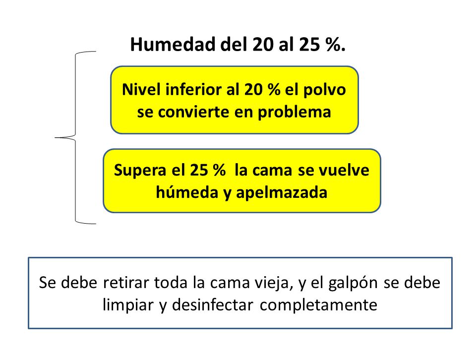 Humedad del 20 al 25 %. Nivel inferior al 20 % el polvo se convierte en problema. Supera el 25 % la cama se vuelve húmeda y apelmazada.