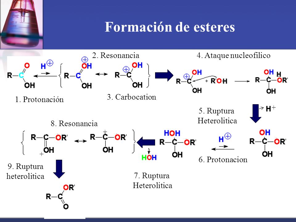 Formación de esteres 1. Protonación 2. Resonancia 3. Carbocation