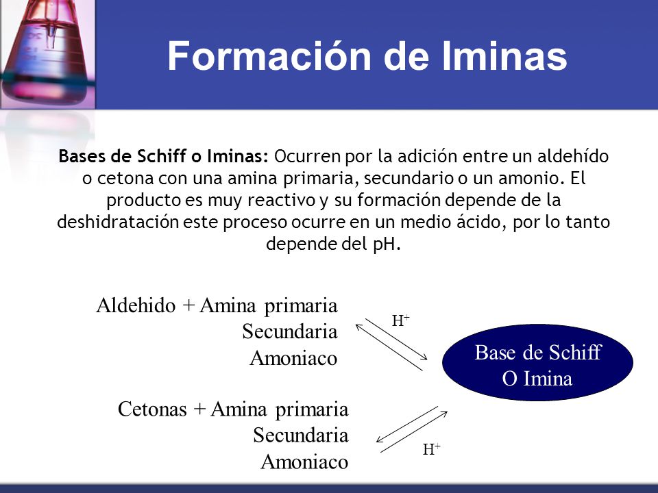 Formación de Iminas Aldehido + Amina primaria Secundaria Amoniaco