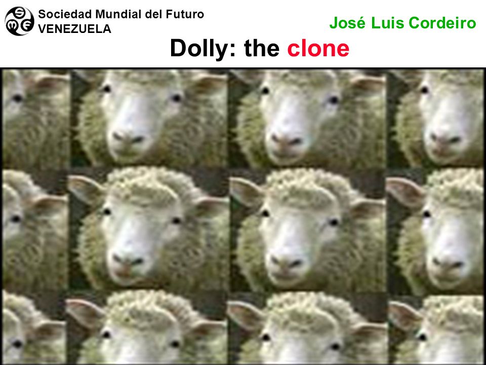 Dolly: the clone José Luis Cordeiro Sociedad Mundial del Futuro