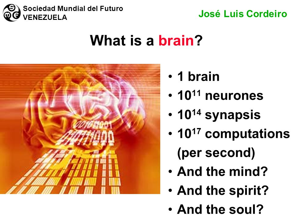 What is a brain 1 brain 1011 neurones 1014 synapsis 1017 computations