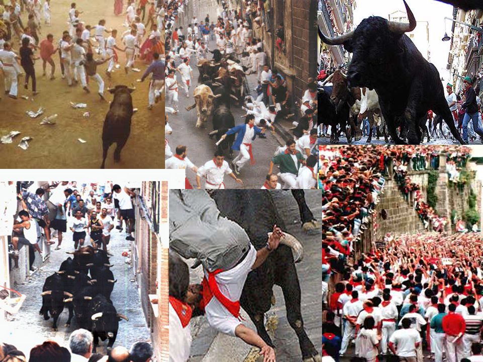 El correr de Los Toros Encierro / Fiesta de San Fermines Running of the Bulls