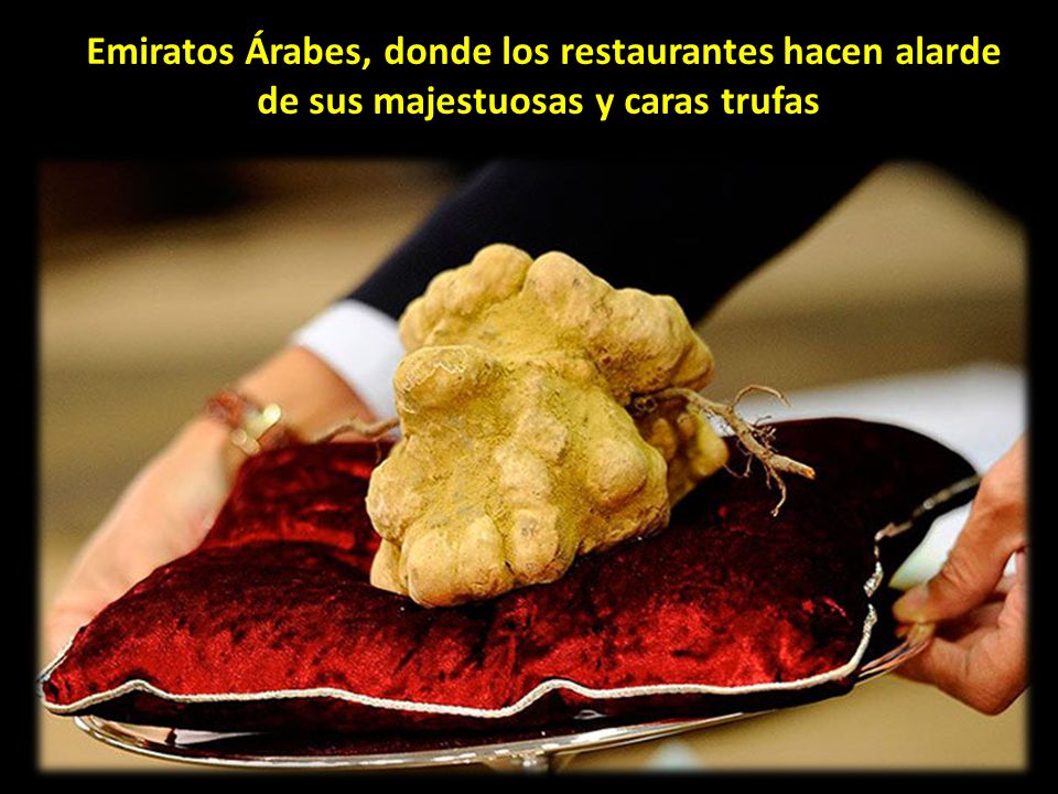 Emiratos Árabes, donde los restaurantes hacen alarde de sus majestuosas y caras trufas