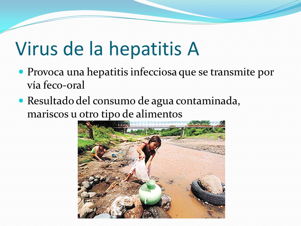 Virus de la hepatitis A Provoca una hepatitis infecciosa que se transmite por vía feco-oral.