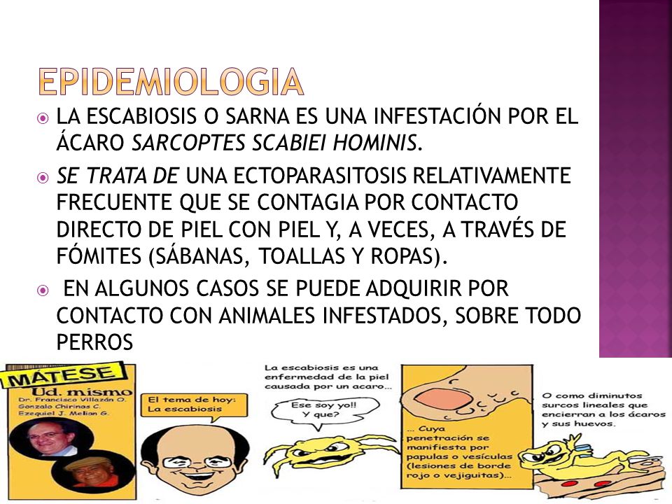 EPIDEMIOLOGIA LA ESCABIOSIS O SARNA ES UNA INFESTACIÓN POR EL ÁCARO SARCOPTES SCABIEI HOMINIS.