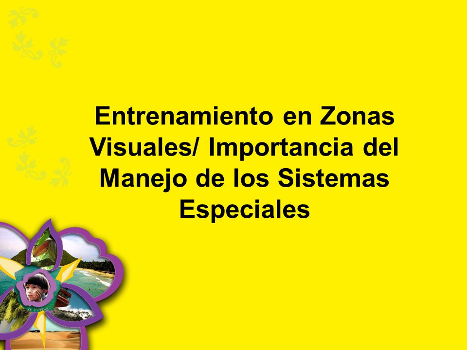 Entrenamiento en Zonas Visuales/ Importancia del Manejo de los Sistemas Especiales