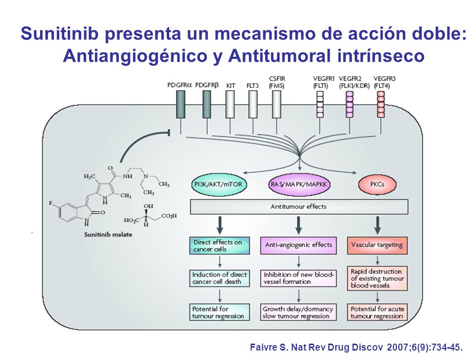 Sunitinib presenta un mecanismo de acción doble: Antiangiogénico y Antitumoral intrínseco