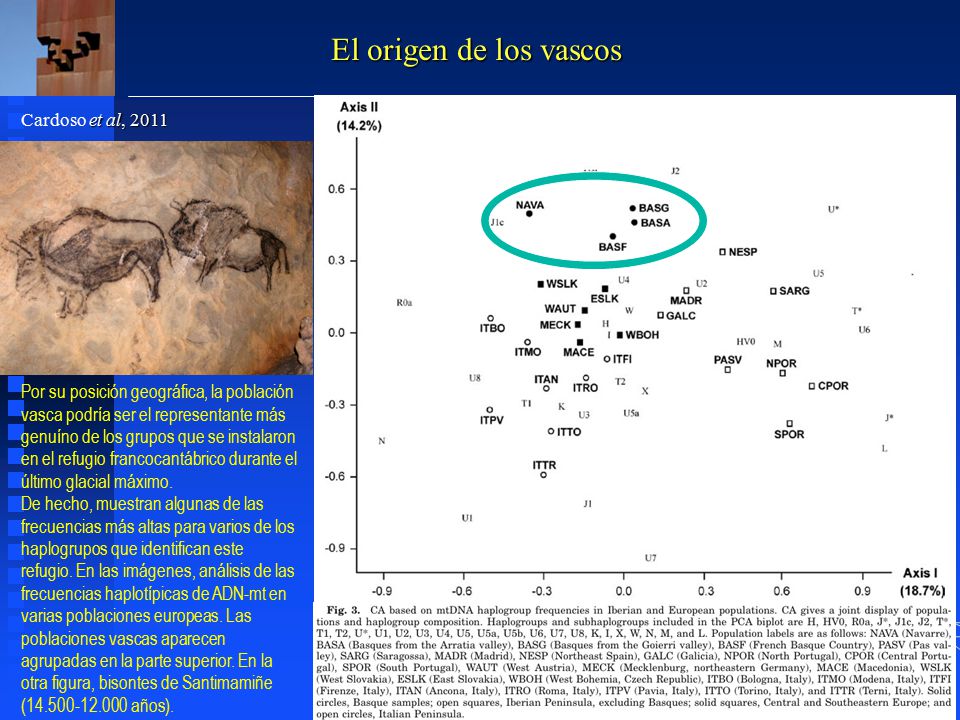 El origen de los vascos Cardoso et al, 2011