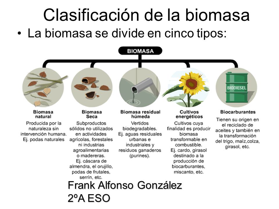 Clasificación de la biomasa