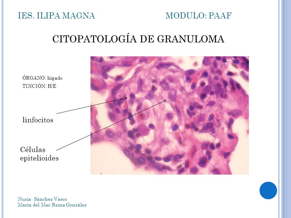 IES. ILIPA MAGNA MODULO: PAAF