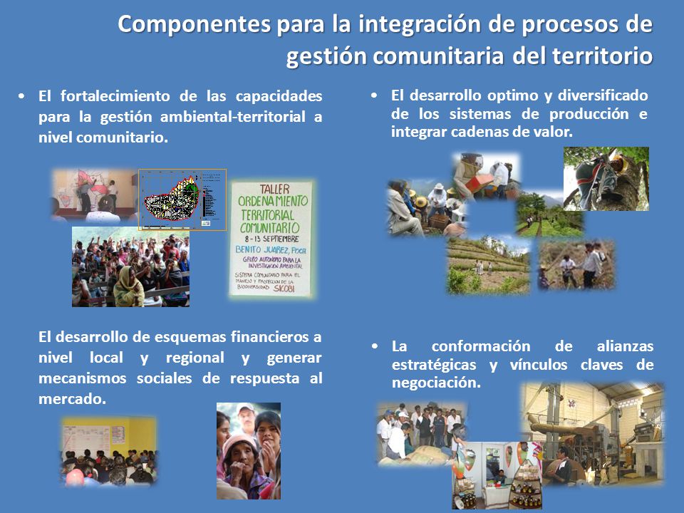 Componentes para la integración de procesos de gestión comunitaria del territorio