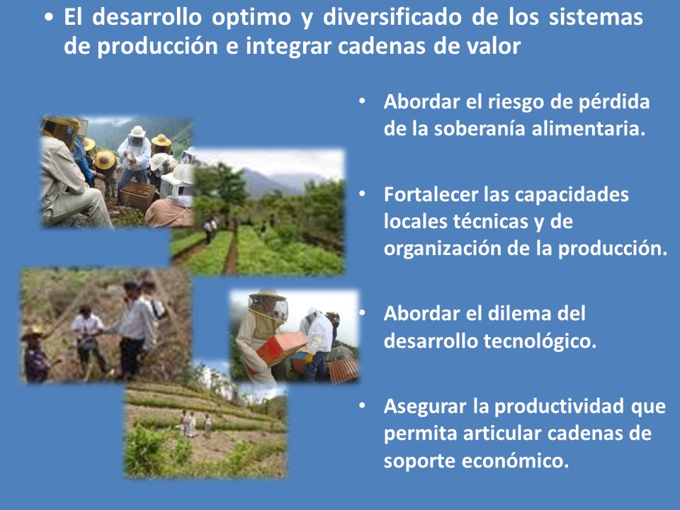 El desarrollo optimo y diversificado de los sistemas de producción e integrar cadenas de valor