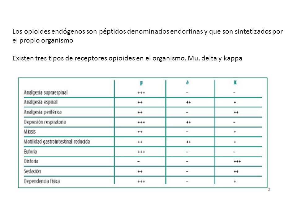 Los opioides endógenos son péptidos denominados endorfinas y que son sintetizados por el propio organismo