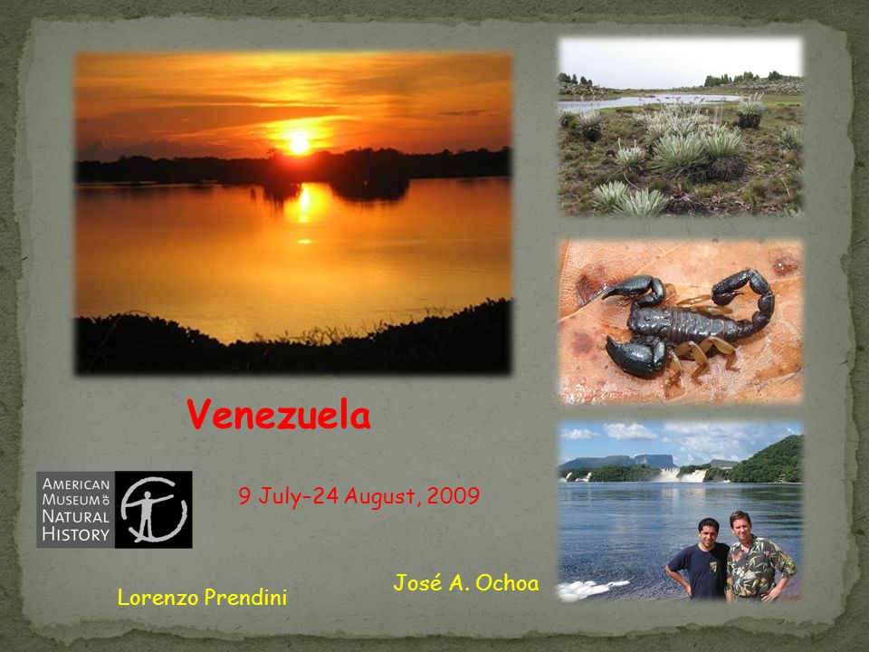 Venezuela 9 July–24 August, 2009 José A. Ochoa Lorenzo Prendini