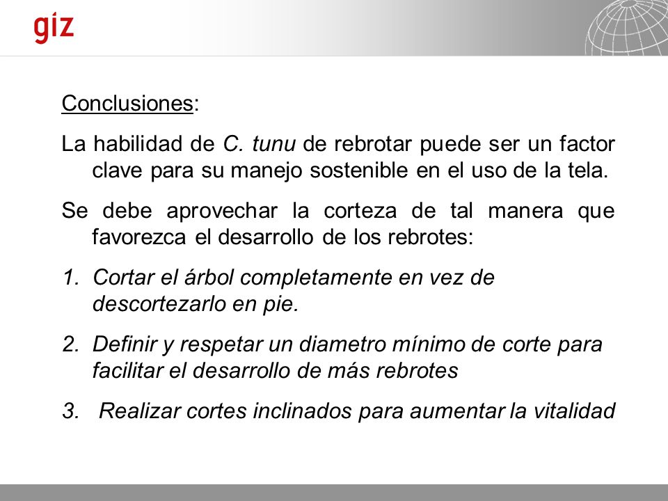Cortar el árbol completamente en vez de descortezarlo en pie.