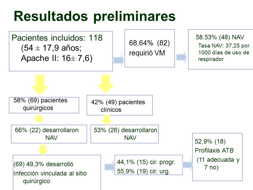 Resultados preliminares