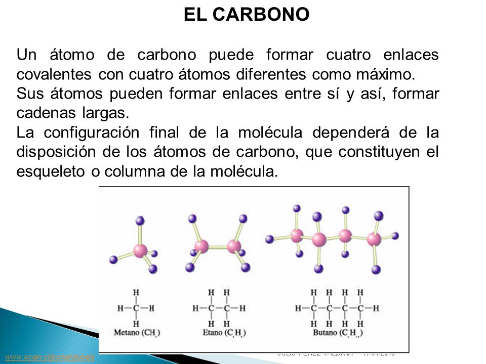 EL CARBONO Un átomo de carbono puede formar cuatro enlaces covalentes con cuatro átomos diferentes como máximo.