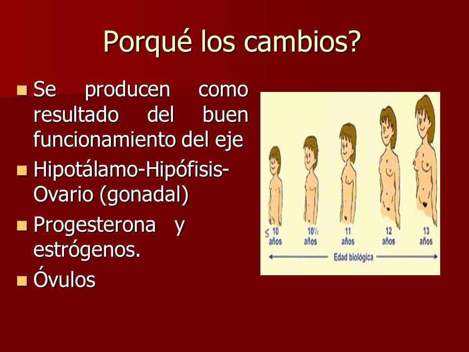 Porqué los cambios Se producen como resultado del buen funcionamiento del eje. Hipotálamo-Hipófisis-Ovario (gonadal)