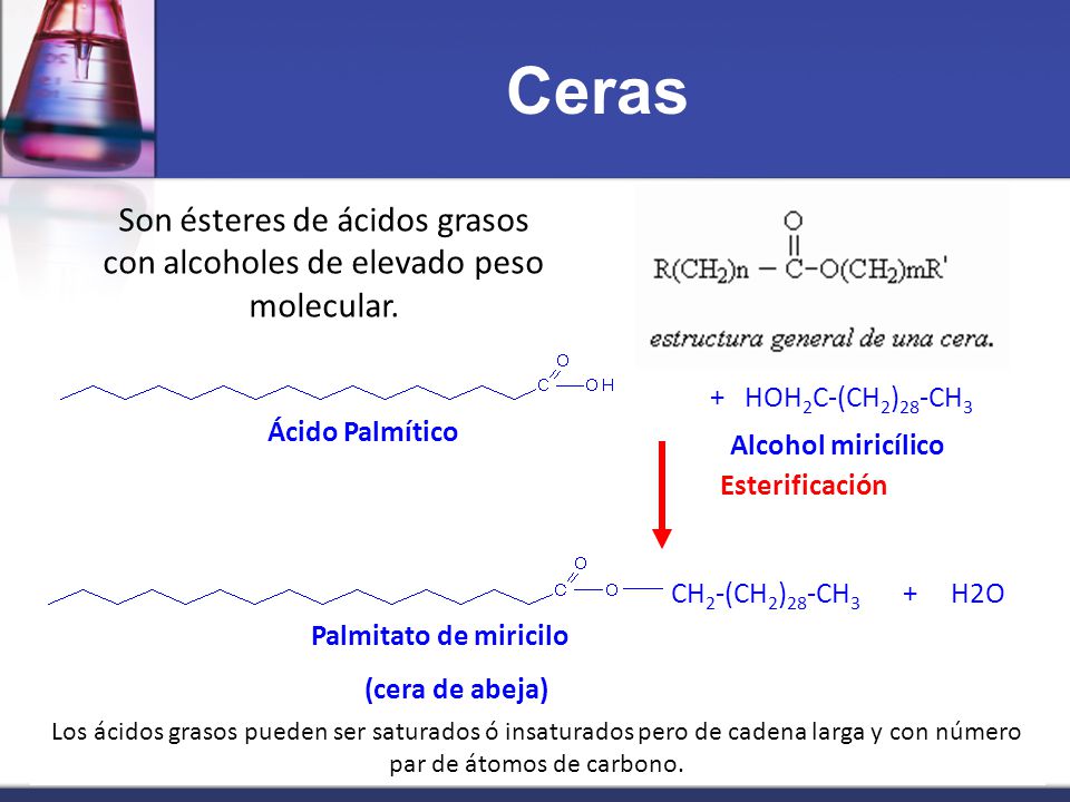 Son ésteres de ácidos grasos con alcoholes de elevado peso molecular.