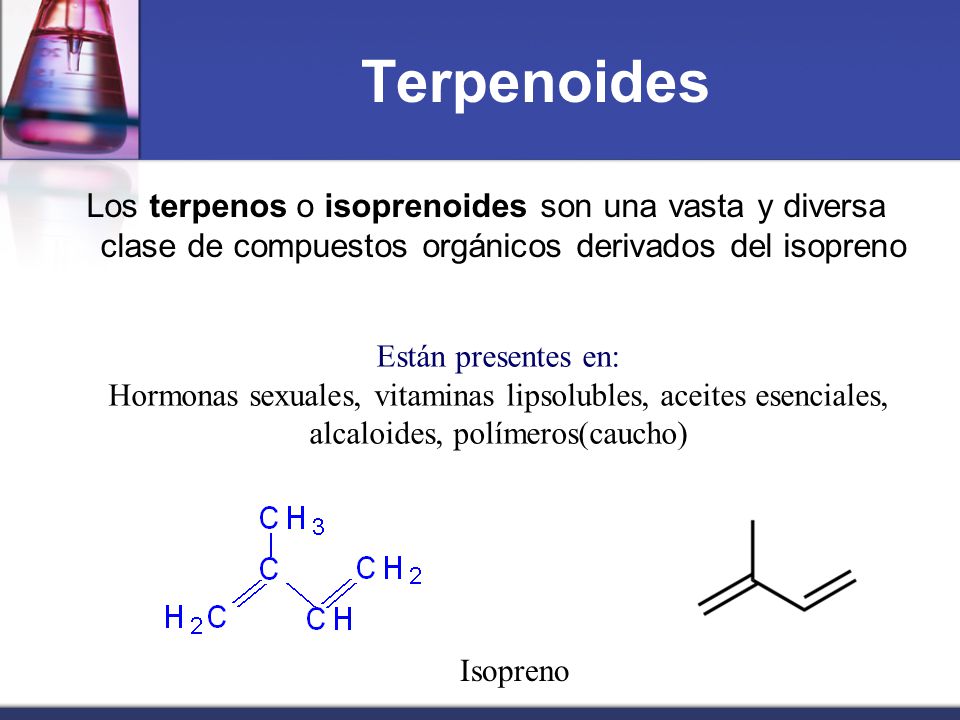 Terpenoides Los terpenos o isoprenoides son una vasta y diversa clase de compuestos orgánicos derivados del isopreno.