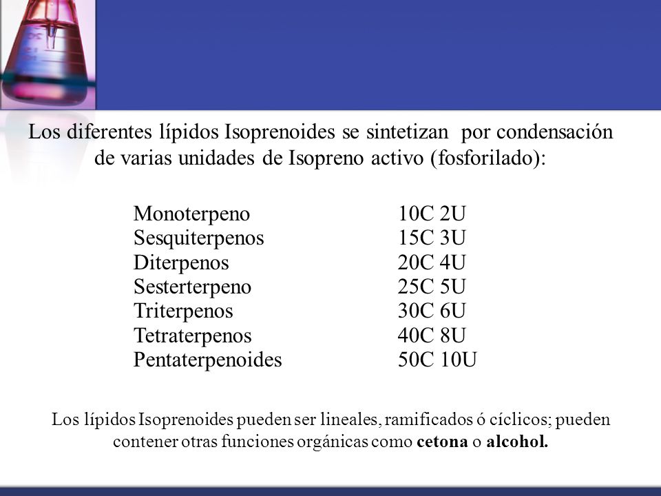 Los diferentes lípidos Isoprenoides se sintetizan por condensación de varias unidades de Isopreno activo (fosforilado):