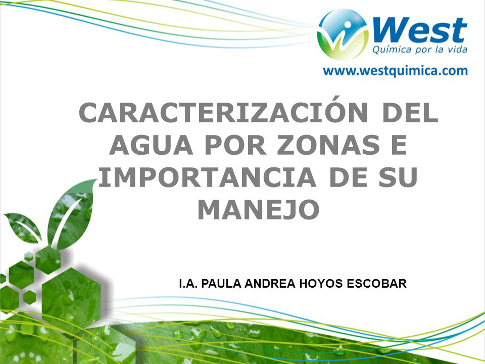 CARACTERIZACIÓN DEL AGUA POR ZONAS E IMPORTANCIA DE SU MANEJO