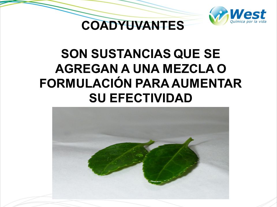 COADYUVANTES SON SUSTANCIAS QUE SE AGREGAN A UNA MEZCLA O FORMULACIÓN PARA AUMENTAR SU EFECTIVIDAD