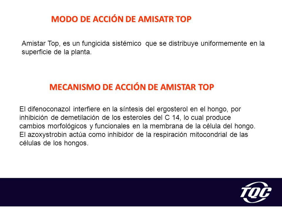 MODO DE ACCIÓN DE AMISATR TOP MECANISMO DE ACCIÓN DE AMISTAR TOP