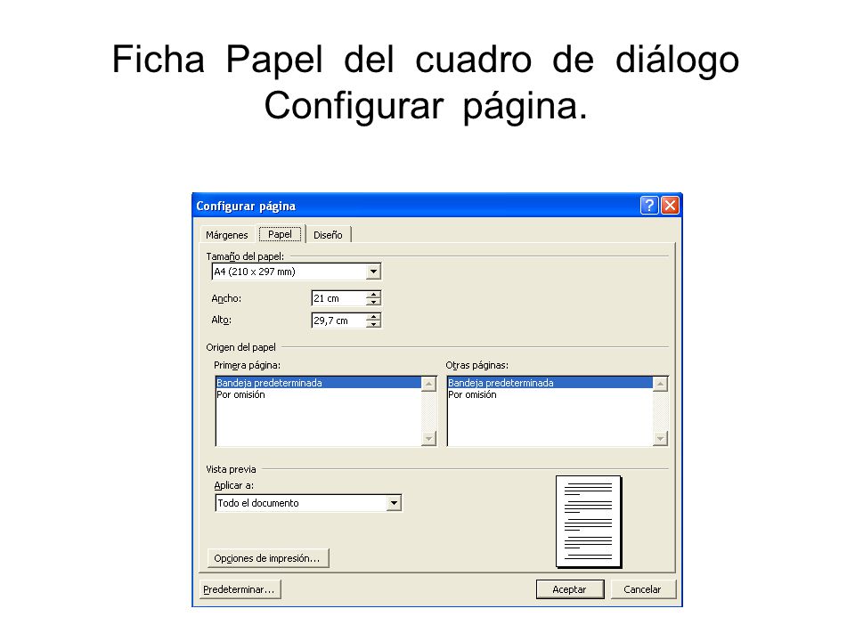 Ficha Papel del cuadro de diálogo Configurar página.