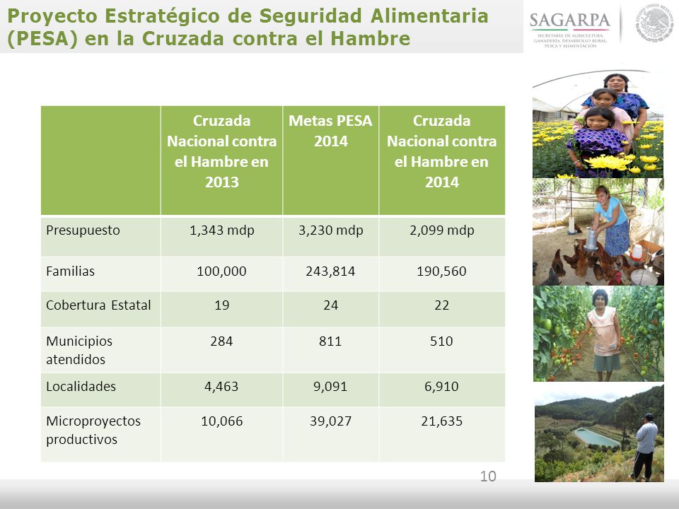 Proyecto Estratégico de Seguridad Alimentaria (PESA) en la Cruzada contra el Hambre