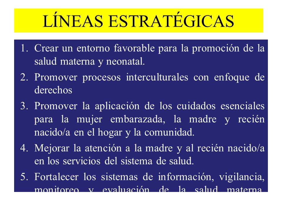 LÍNEAS ESTRATÉGICAS Crear un entorno favorable para la promoción de la salud materna y neonatal.
