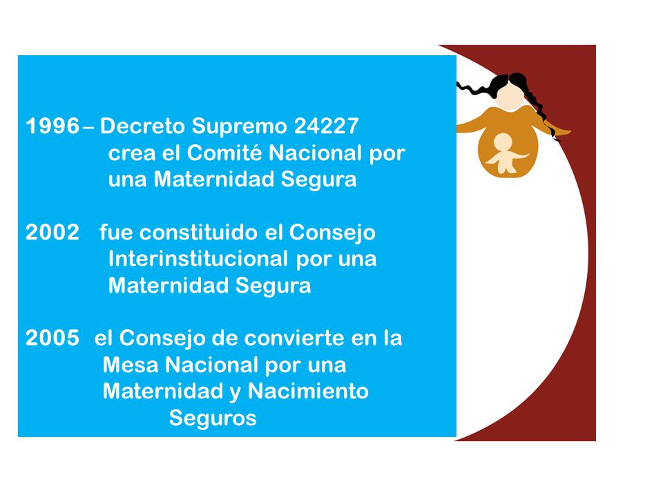 1996 – Decreto Supremo crea el Comité Nacional por