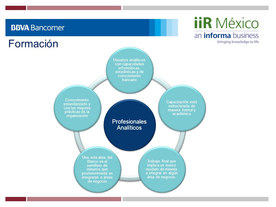 Formación Profesionales Analíticos. Usuarios analíticos con capacidades informáticas, estadísticas y de conocimiento bancario.