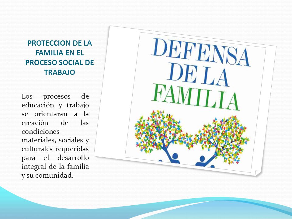 PROTECCION DE LA FAMILIA EN EL PROCESO SOCIAL DE TRABAJO