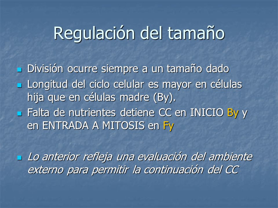 Regulación del tamaño División ocurre siempre a un tamaño dado