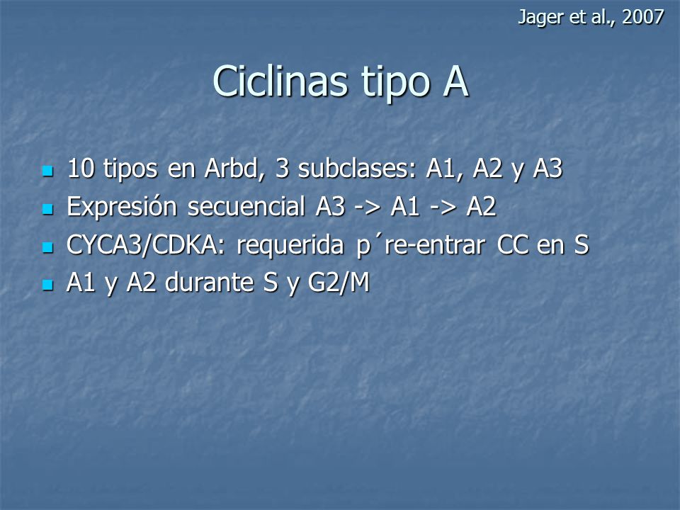 Ciclinas tipo A 10 tipos en Arbd, 3 subclases: A1, A2 y A3