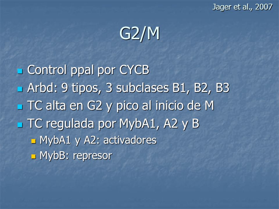G2/M Control ppal por CYCB Arbd: 9 tipos, 3 subclases B1, B2, B3