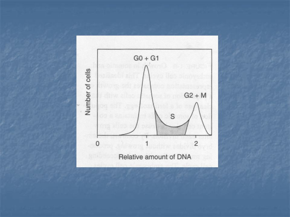 Estudios relacionados con el ciclo celular: Contenido de DNA de grupo de células