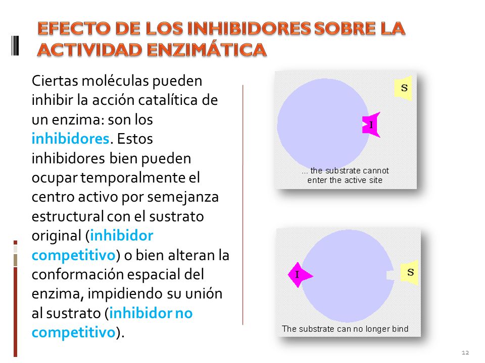 EFECTO DE LOS INHIBIDORES SOBRE LA ACTIVIDAD ENZIMÁTICA