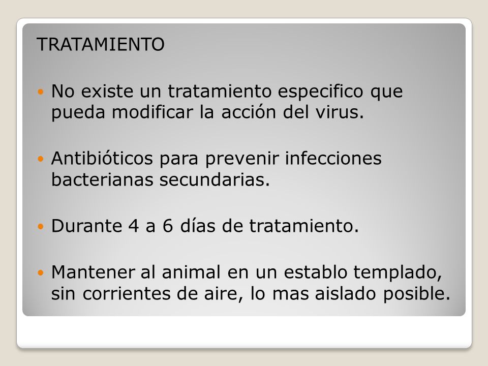 TRATAMIENTO No existe un tratamiento especifico que pueda modificar la acción del virus.