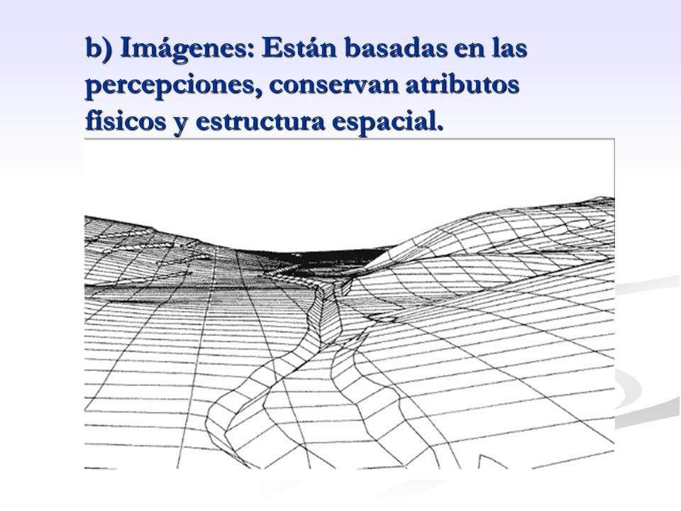 b) Imágenes: Están basadas en las percepciones, conservan atributos físicos y estructura espacial.