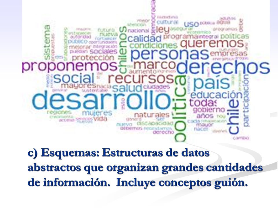 c) Esquemas: Estructuras de datos abstractos que organizan grandes cantidades de información.