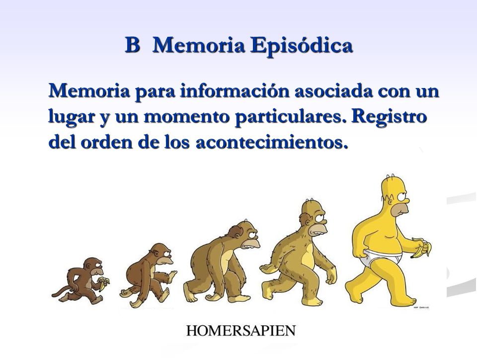 B Memoria Episódica Memoria para información asociada con un lugar y un momento particulares.