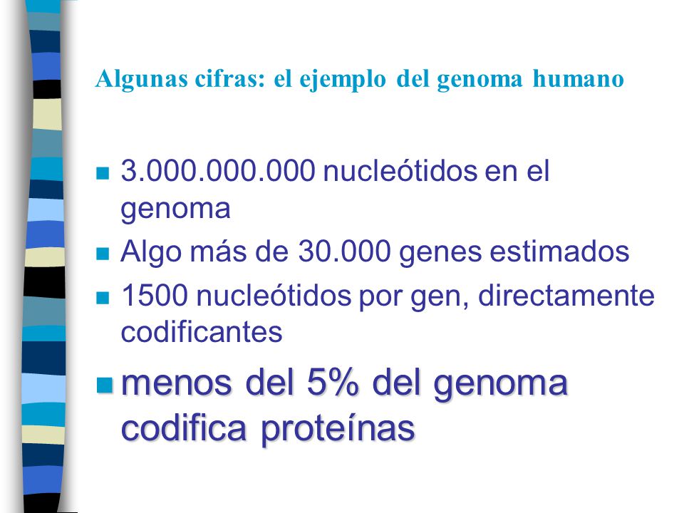 Algunas cifras: el ejemplo del genoma humano