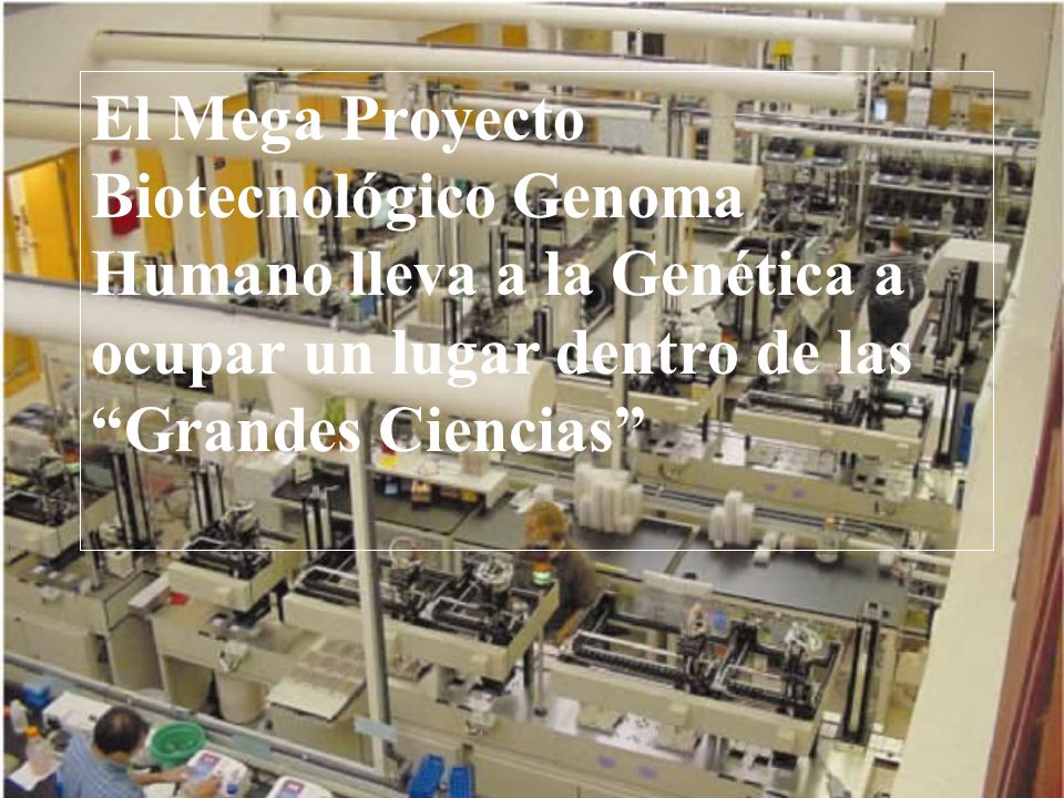 El Mega Proyecto Biotecnológico Genoma Humano lleva a la Genética a ocupar un lugar dentro de las Grandes Ciencias