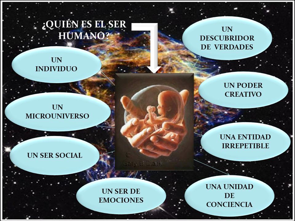 ¿QUIÉN ES EL SER HUMANO UN DESCUBRIDOR DE VERDADES UN INDIVIDUO