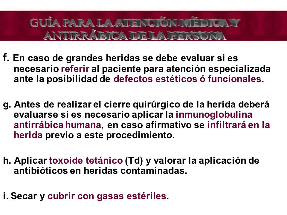 GUÍA PARA LA ATENCIÓN MÉDICA Y ANTIRRÁBICA DE LA PERSONA