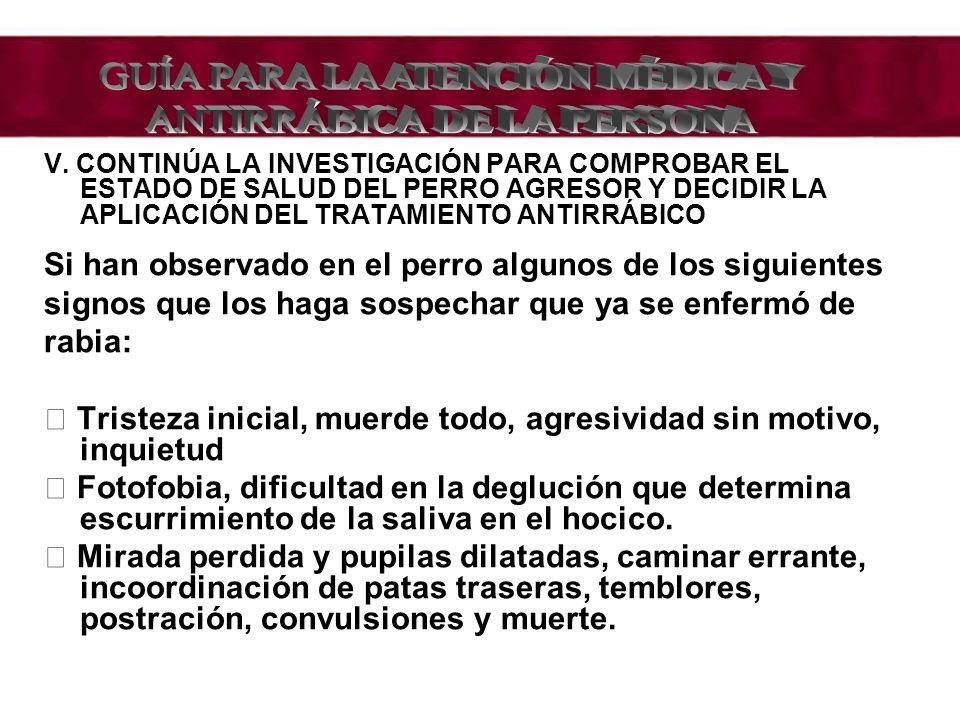 GUÍA PARA LA ATENCIÓN MÉDICA Y ANTIRRÁBICA DE LA PERSONA