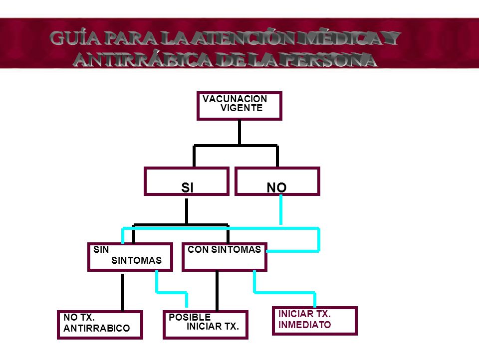 GUÍA PARA LA ATENCIÓN MÉDICA Y ANTIRRÁBICA DE LA PERSONA